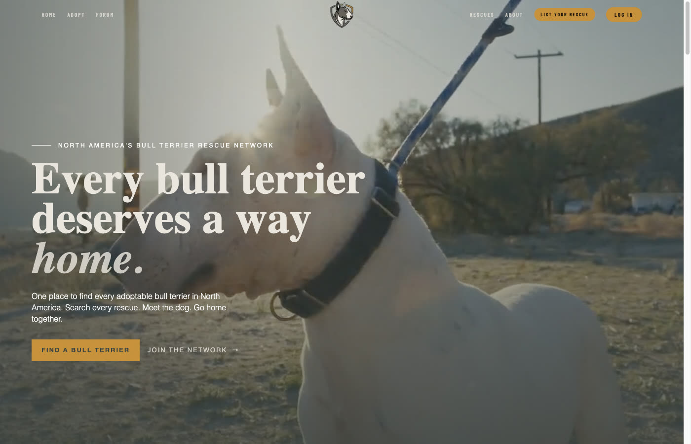 Bull Terrier Rescue Network